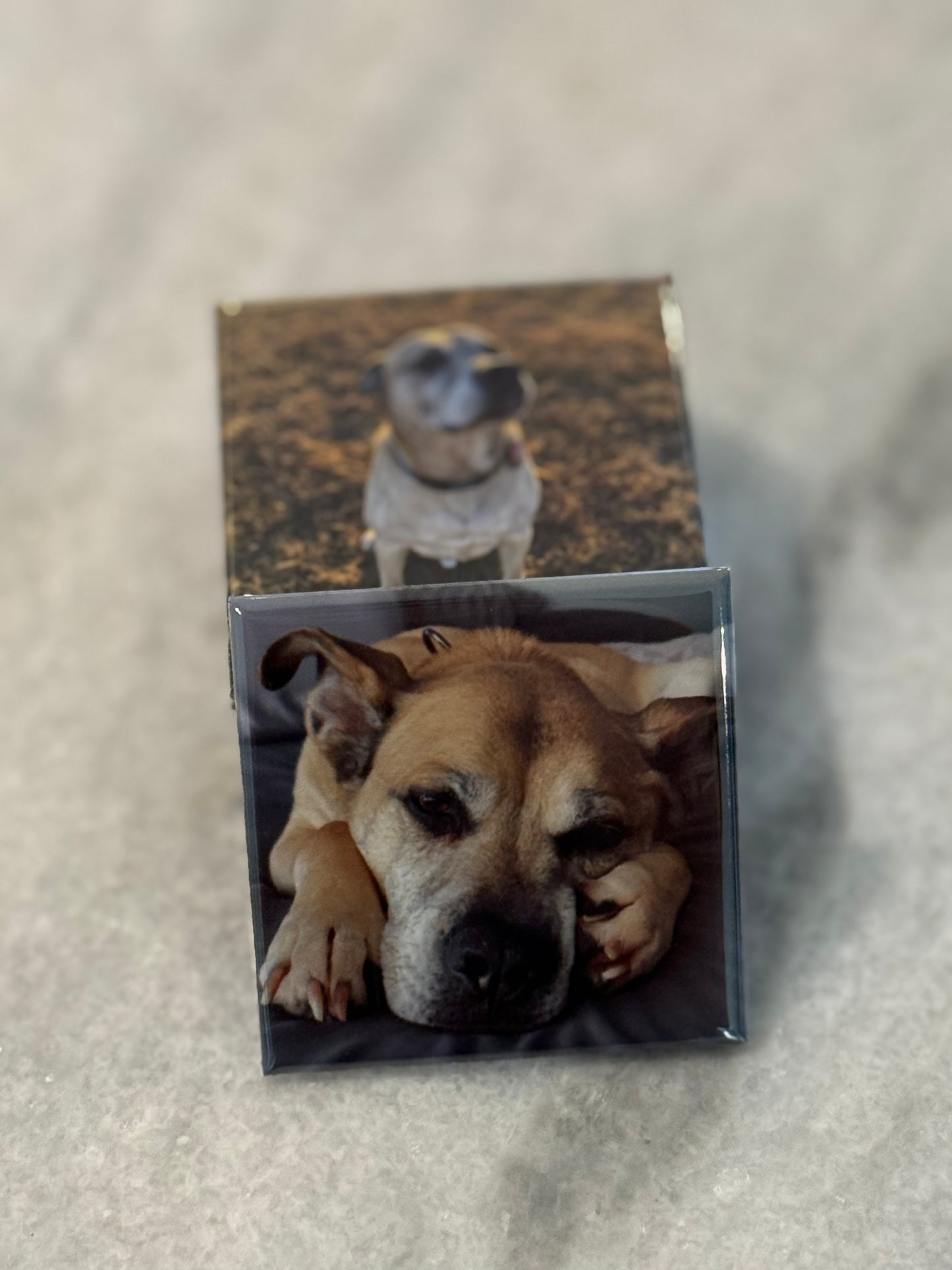 2x2" Square Photo Magnets